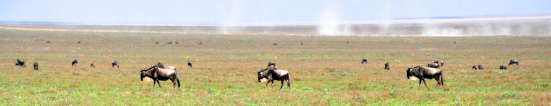 Ngorongoro Crater - Serengeti National Park